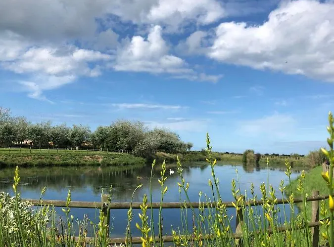 Le Cocon De Nacre - A 300m De La - Wifi Apartment